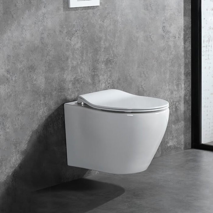 Wall hung toilet