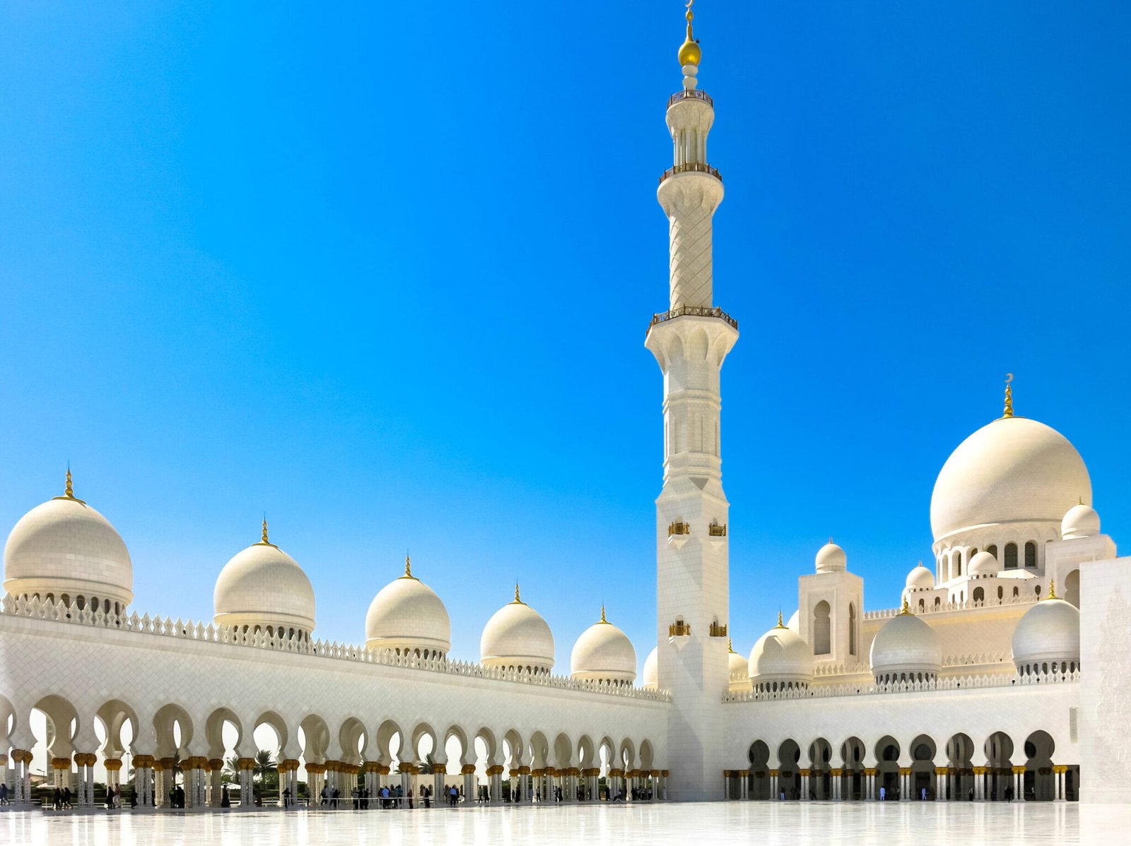 20260224 180031 20260224 180031