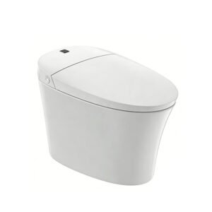 Automatic Intelligent Smart Toilet with Sensor Lid and Warm Air Drying | Floor Standing Smart Toilet Manufacturer KKR-CTE13004